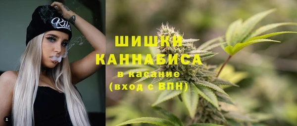 прущая мука Новодвинск