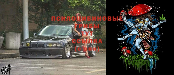 прущая мука Новодвинск