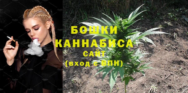 каннабис Новозыбков