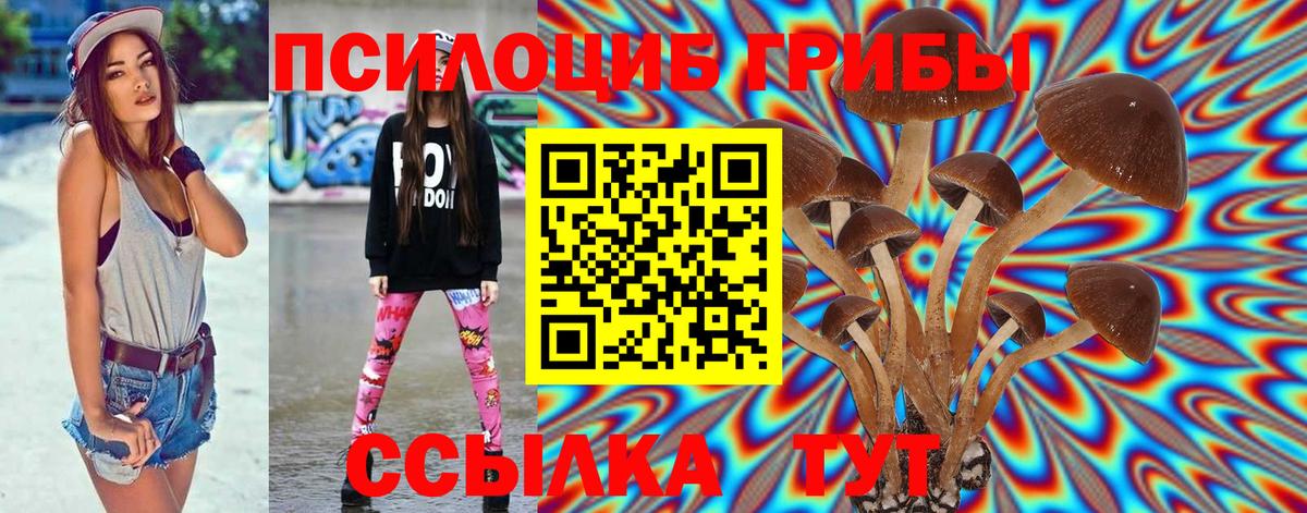 Галлюциногенные грибы Psilocybine cubensis Саянск
