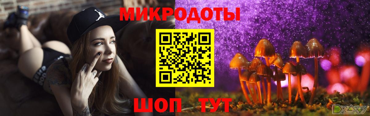 Псилоцибиновые грибы ЛСД  как найти закладки  Вход с VPN  Саянск  Псилоцибиновые грибы Psilocybine cubensis 