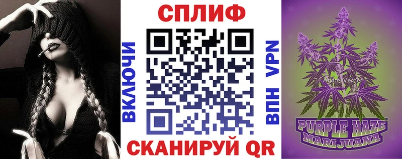 Каннабис план  купить   Саянск 